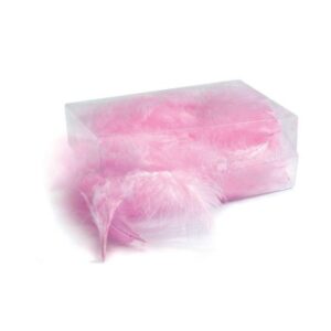 BOiTE-DE-PLUMES-ROSES-ENVIRON-6-GR-51161