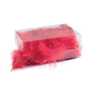 BOÎTE DE PLUMES ROUGES- ENVIRON 6 GR