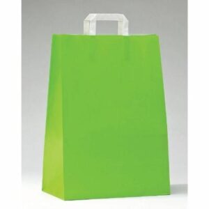 SAC-KRAFT-POIGNeES-PLATES-VERT-ANIS-L22XP10XH28CM-PAR-50
