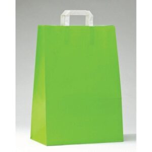 SAC-KRAFT-POIGNeES-PLATES-VERT-ANIS-L32XP17XH44CM-PAR-50