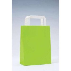 SAC-KRAFT-VERT-ANIS-POIGNeES-PLATES-18X8X22CM-PAR-50-545