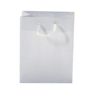 SAC-LUXE-PELLICULe-BLANC-L11XP6XH14CM-PAR-12-54617