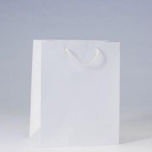 SAC-LUXE-PELLICULe-BLANC-L26XP13XH32CM-PAR-12-54641