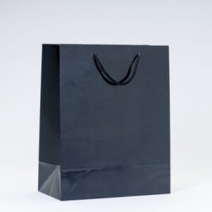 SAC-LUXE-PELLICULe-NOIR-L26XP13XH32CM-PAR-12-54650