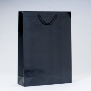 SAC-LUXE-PELLICULe-NOIR-L32XP10XH44CM-PAR-12-54660