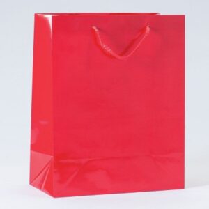 SAC-LUXE-PELLICULe-ROUGE-L26XP13XH32CM-PAR-12-54642