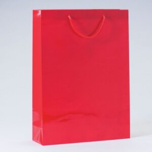 SAC-LUXE-PELLICULe-ROUGE-L32XP10XH44CM-PAR-12-54654