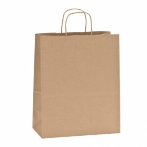 SACS-PAPIER-100-RECYCLe-32X16XH39CM-PAR-50-52923
