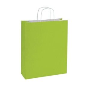 SAC PAPIER VERT ANIS POIGNÉES TORSADÉES 14X8.5X21CM - PAR 50