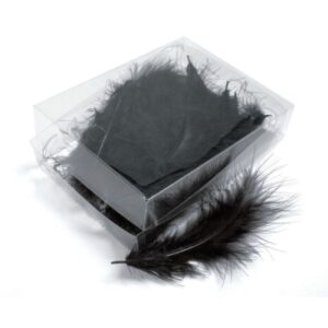 BOÎTE DE PLUMES NOIRES - +/- 6 GR